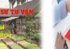 Việt Nam bỏ đơn vị hành chính quận / huyện thì làm thủ tục đất đai ở đâu năm 2025?