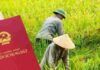 Tiêu chí để đất đai được cấp sổ đỏ